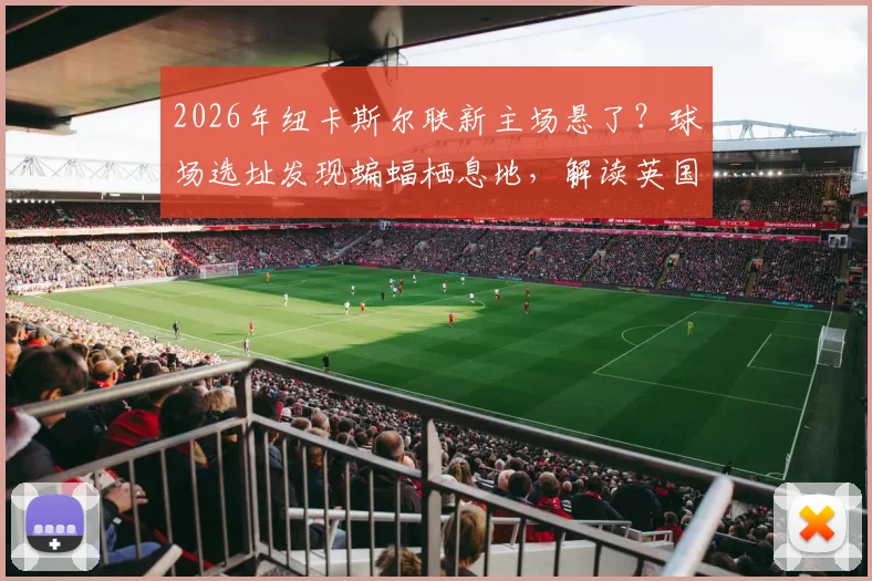 2026年纽卡斯尔联新主场悬了？球场选址发现蝙蝠栖息地，解读英国生态保护法规与球场搬迁困局